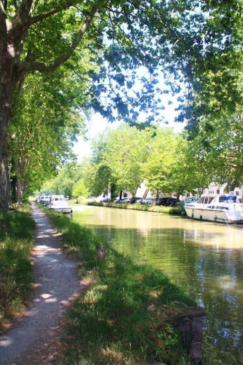 L'Appart Du Canal Carcassonne Esterno foto